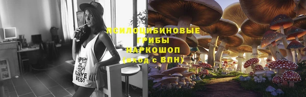 бутират Гусев