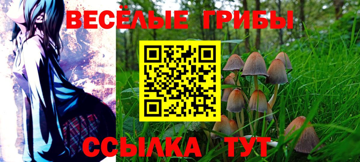 Галлюциногенные грибы MAGIC MUSHROOMS Донецк