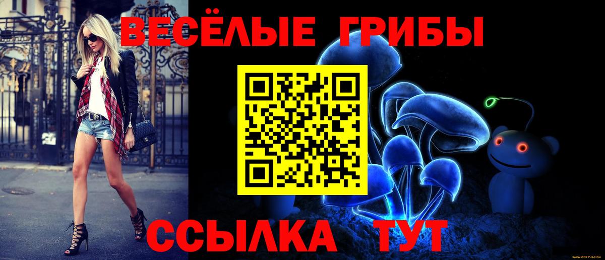 Псилоцибиновые грибы Cubensis  Псилоцибиновые грибы мухоморы  Донецк  Вход с VPN 